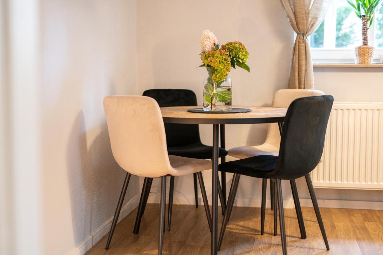 Toni Charming Apartment Im Idyllischem Villenviertel Mit Netflix Дрезден Екстер'єр фото